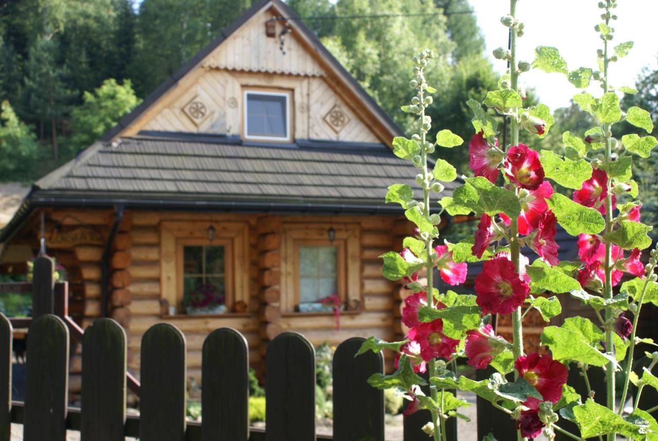Pachnaca Lasem Lodge