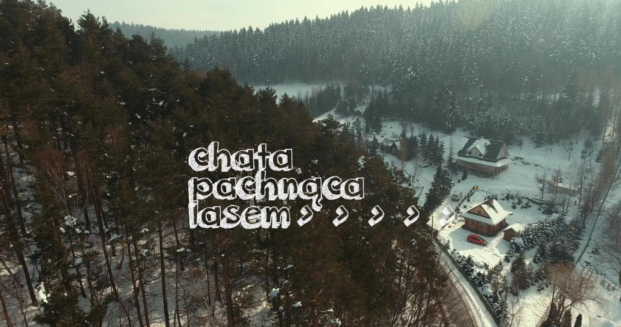 Lodge Pachnaca Lasem Andrychow